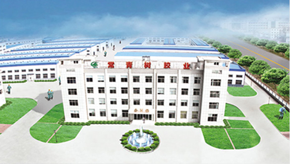 山東常青樹(shù)膠業(yè)股份有限公司 山東常青樹(shù)膠業(yè)股份有限公司