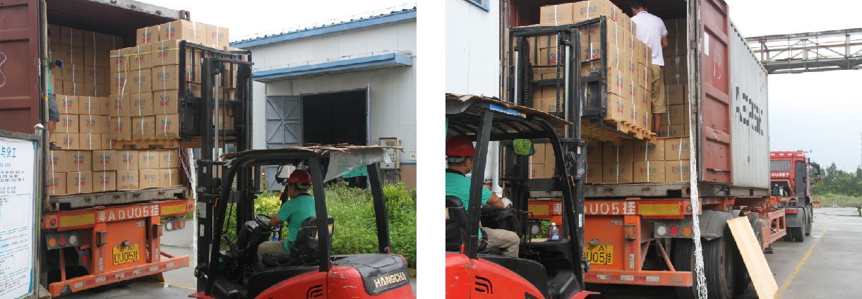 全員參與丨常青樹集團非生產員工火速支援雙節(jié)前生產